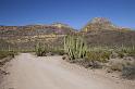 135 Organ Pipe Cactus National Monument